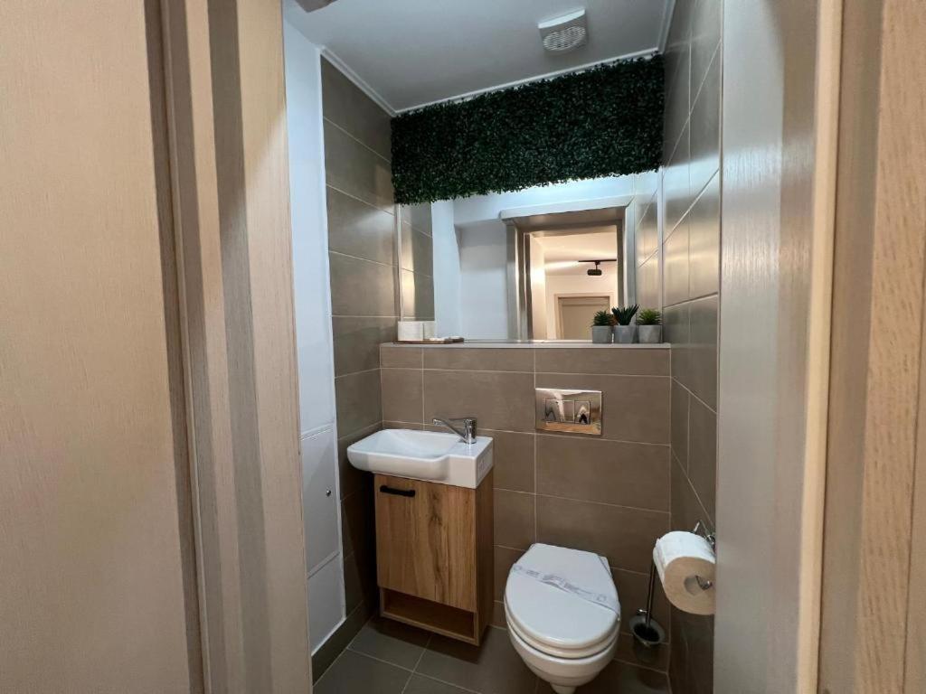 Coban Residence Apartments Брашов Экстерьер фото